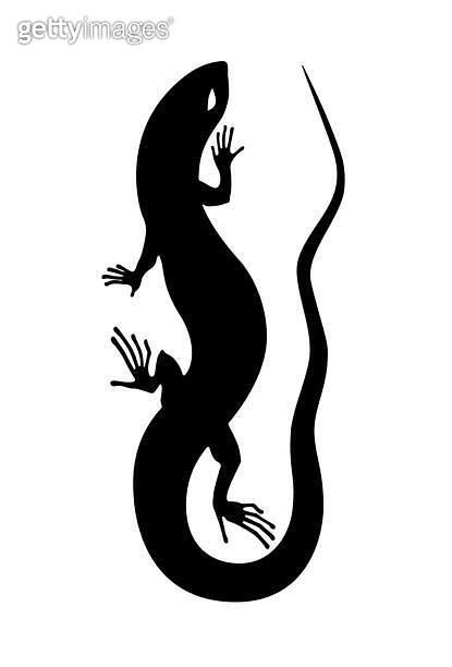 Silhouette of a lizard. Tattoo, logo, sign, vector illustration 이미지 ...