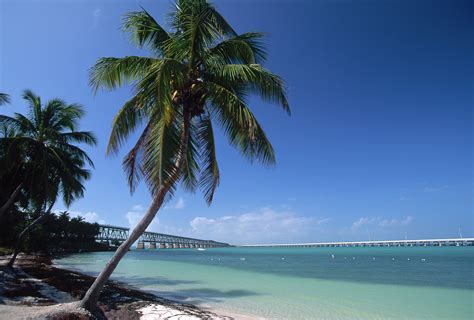 florida-state-flag - Florida Pictures - Florida - HISTORY.com