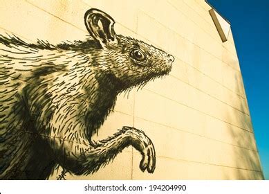 659 Rat Graffiti Images, Stock Photos, 3D objects, & Vectors | Shutterstock