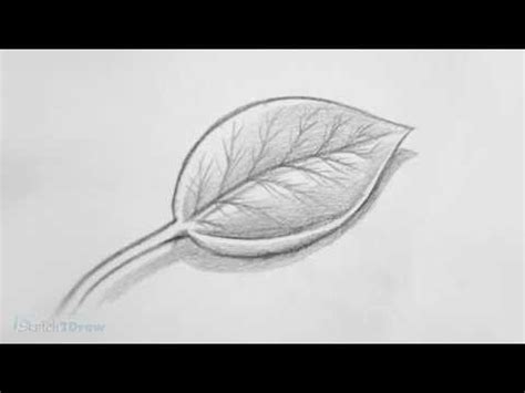 How to Draw & Shade a Leaf (Sketching Practice Tutorial) | Leaves sketch, Leaf drawing, Pencil ...