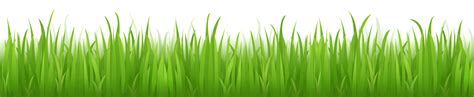 Grass Png Image Green Picture Transparent HQ PNG Download | FreePNGImg