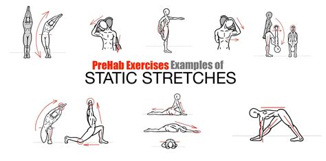 Stretching - what to do and when?