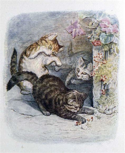 widenerlibrary | Beatrix potter illustrations, Beatrix potter, Cat art ...