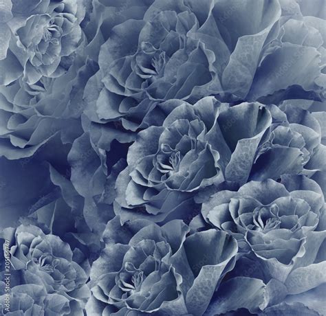 Blue Vintage Floral Backgrounds