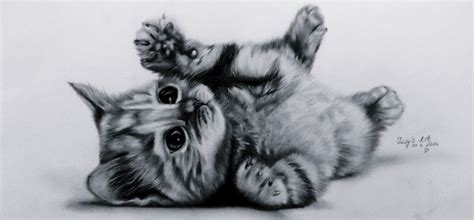 DRAWING ART - KITTEN | Süße katze zeichnung, Katzenzeichnung, Niedliche tierzeichnungen