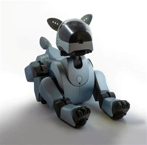 Best Robot Dogs Reviewed & Rated in 2024 | Borncute.com