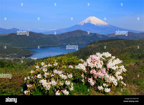 Kanagawa Prefecture, Japan Stock Photo - Alamy