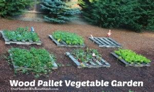 Wood Pallet Vegetable Garden | Home Design, Garden & Architecture Blog ...