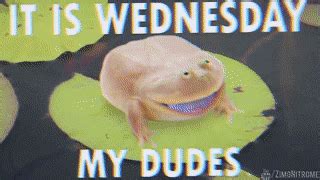 It's A Wednesday GIF my dudes | It Is Wednesday My Dudes | Know Your Meme