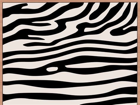 How to Draw Zebra Stripes: 14 Steps (with Pictures) - wikiHow