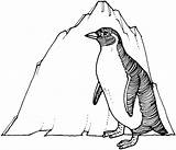 Free Printable Penguin Coloring Pages For Kids sketch template