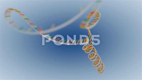 Top 117+ Dna replication animation video - Merkantilaklubben.org