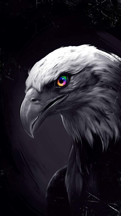 Eagle Eyes iPhone Wallpaper | Eagle wallpaper, Wild animal wallpaper, Iphone wallpaper eagle