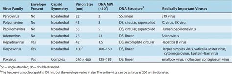 Classification of Medically Important Viruses | Basicmedical Key