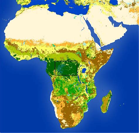 Map of Africa in 2015 showing the different types of vegetation. The... | Download Scientific ...