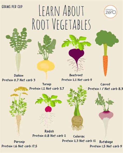 Top 8 Low-Carb Root Vegetables