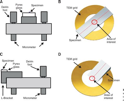 [PDF] Transmission Electron Microscopy Specimen Preparation of Delicate Materials Using Tripod ...