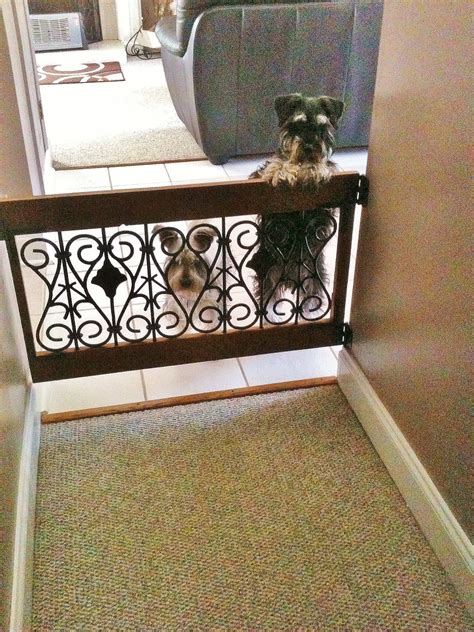 Home - JammieCat.com | Dog gate, Decorative dog gates, Dog gates for stairs