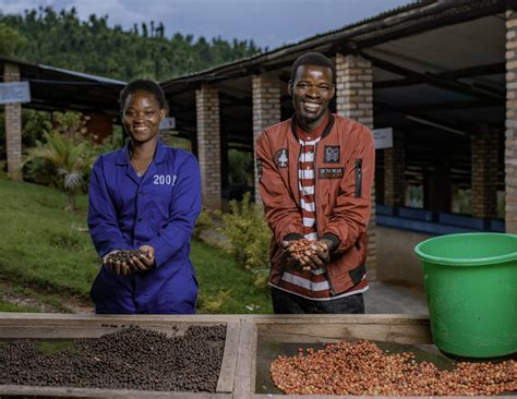 Youth in Rwanda Train to Join the Coffee Industry: A Pathway to ...