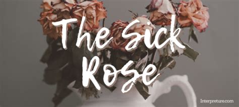 The Sick Rose - Poem Analysis and Notes - Interpreture