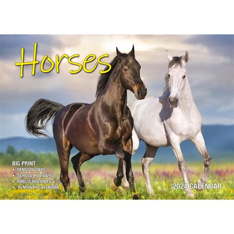 Horses - 2024 Rectangle Wall Calendar 16 Months Animal Planner New Year Gift - Zmart Australia