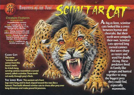 Scimitar Cat | Wild creatures, Wild animals pictures, Prehistoric animals