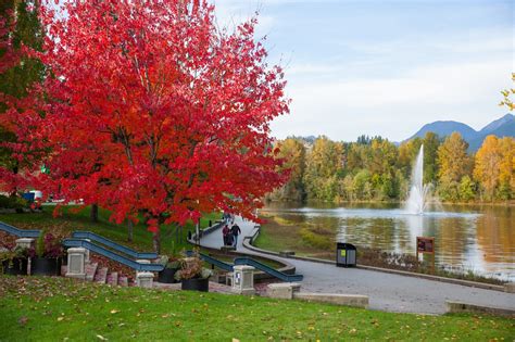 Lafarge Lake in the Fall in Coquitlam, British Columbia - 2021 — Christine McAvoy Photography