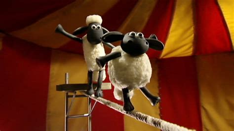 Shaun the Sheep - Series 1: 16. Big Top Timmy - BBC iPlayer