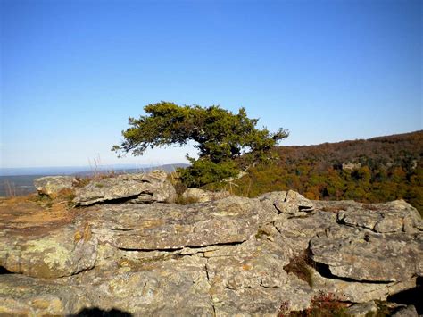 Mount Magazine State Park : Photos, Diagrams & Topos : SummitPost