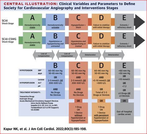 Criteria for Defining Stages of Cardiogenic Shock Severity | Journal of ...