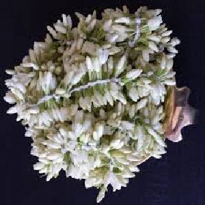 Mullai Flowers - Mullai Flower Suppliers, Mullai Flowers Manufacturers & Wholesalers