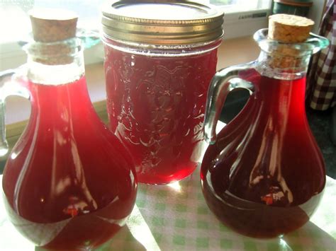 Mennonite Girls Can Cook: Chokecherry Syrup