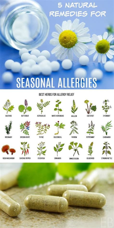 5 Natural Remedies to Beat Seasonal Allergies! (With images) | Seasonal allergies, Herbs for ...