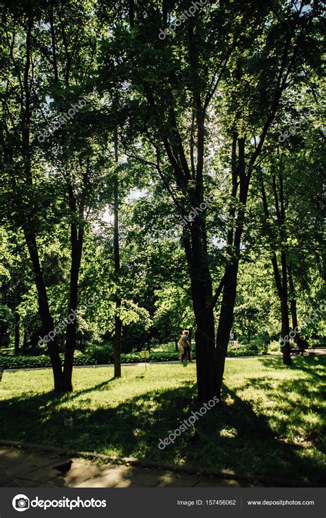 Moscow city parks Stock Photo by ©KatyaZork 157456062