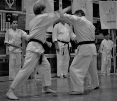 Why Traditional Okinawan Karate? - East Valley Martial Arts | Karate