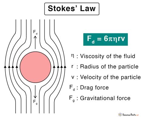 Stokes’ Law: Statement, Formula, Assumptions & Limitations