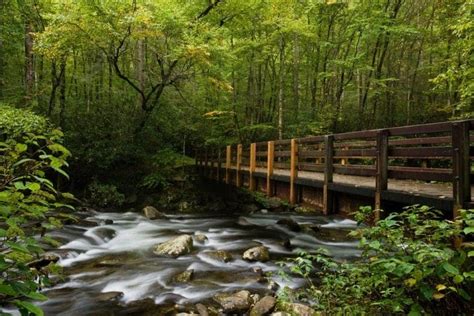 4 Fun Outdoor Things to Do in the Smoky Mountains in September