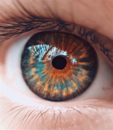 Pin de Jéss em Eyes | Cores de olhos raras, Olhos bonitos, Olhos lindos