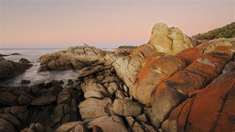 Coastal rock formations at Cape Conran, Gippsland, Victoria, Australia | Tourism victoria ...