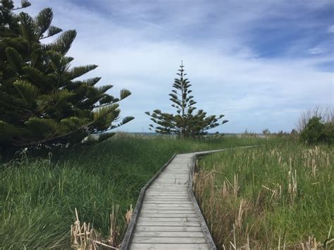 THE SCENIC KAIKOURA PENINSULA WALKWAY (101 GUIDE)