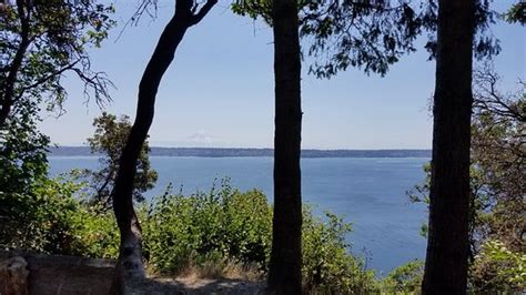 Maury Island Marine Park (Vashon) - 2020 All You Need to Know BEFORE You Go (with Photos ...