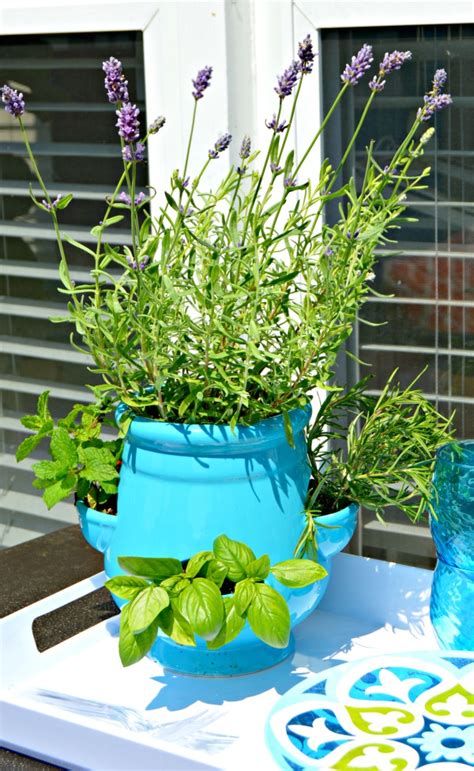 Homemade Bug Spray For Plants - Mom 4 Real