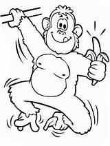 Chimpanzee Coloring Free Printable Page  Home sketch template