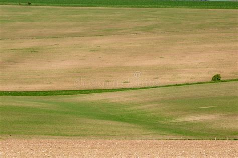 Spring Farm Landscape stock photo. Image of crops, horizontal - 116382538