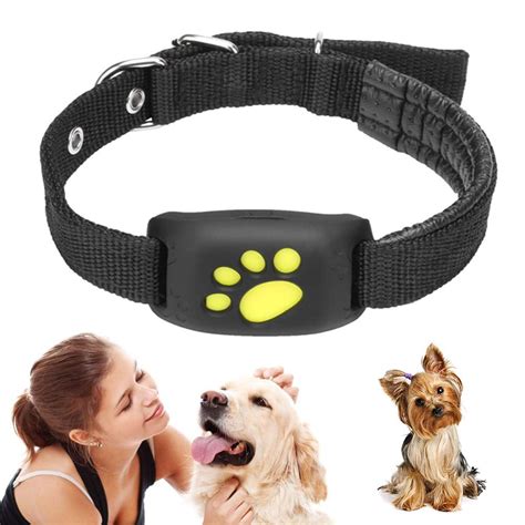 How Much Does A Gps Chip For Dogs Cost