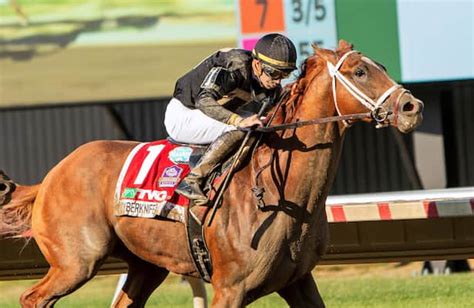 Pegasus World Cup 2023: Final invitations show little change