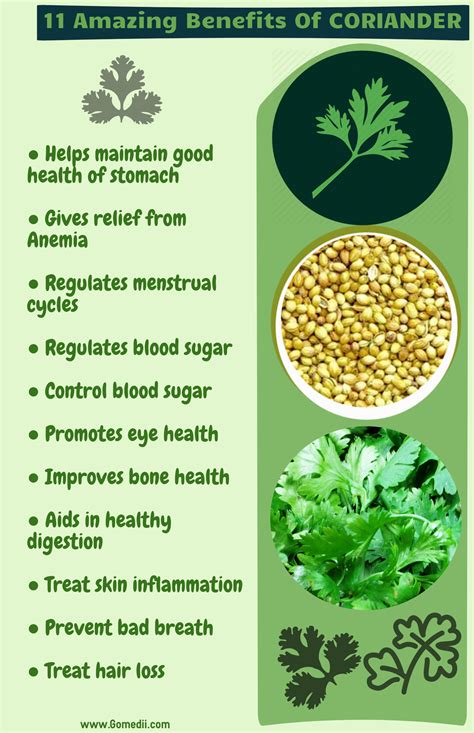 11 Amazing Benefits of coriander #GoMedii ...#healthlife #healthkick #healthierchoice # ...