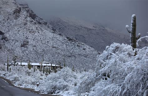 A bunch of photos of today's snow across Tucson ️💕 | tucson life | tucson.com