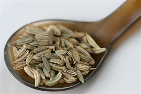 Caraway Oil - Vigon