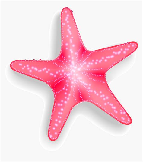 Pink Starfish Clipart Transparent Background, HD Png Download - kindpng